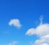 ְҵ