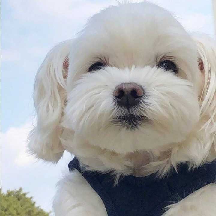 ʱ