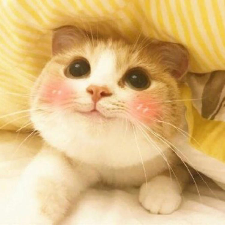 ľ