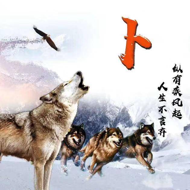高钙
