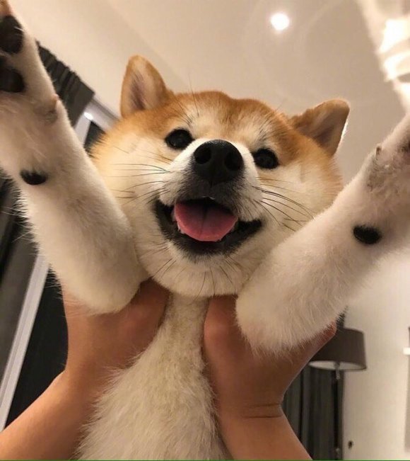 ϼŮ