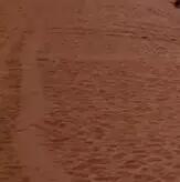˼