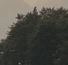 ʽ