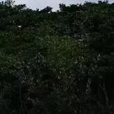 Ѫ۾