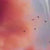 ܻ��