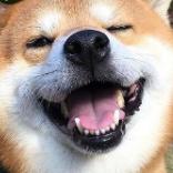 �p΢