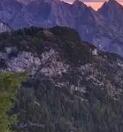 ĵ