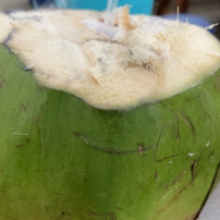 ĸ
