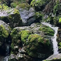 ȫ