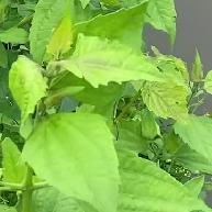 ʱ䲻ס