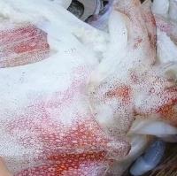 һ�����������