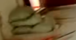 ¶