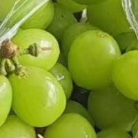 ׸