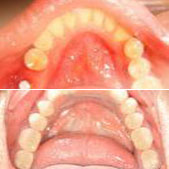 һλ�������ʦ����ֲ������ ��ֲ��������ûʲô���