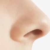 ����¡���������ҵĸñ�������ǿ������