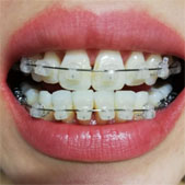 ��һ���������ֵ�õ� ������������ÿ�����