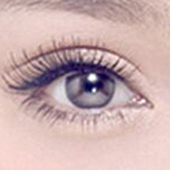 ˫��Ƥ�ռ� һ���º��۾������