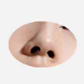 ¡һµʱ ͻѾԿƯ