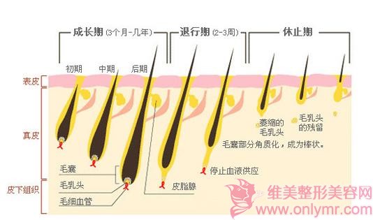 油性皮肤能做激光手臂脱毛吗