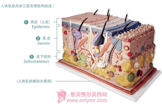 做彩光嫩肤让胶原蛋白增生吗