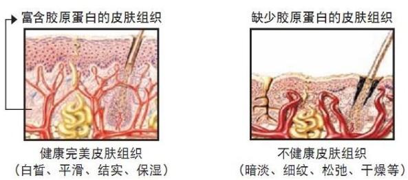 �ʹ��۷�Ч��������פ�ഺ