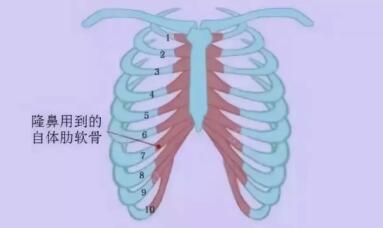 ��������������¡�Ǵ���������ʹ