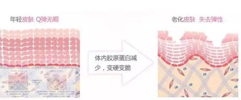 ������������������һ�������