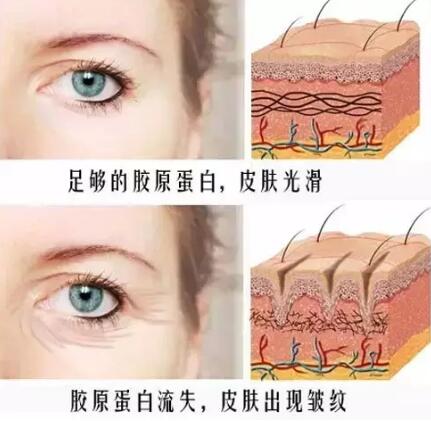 ������������������һ�������