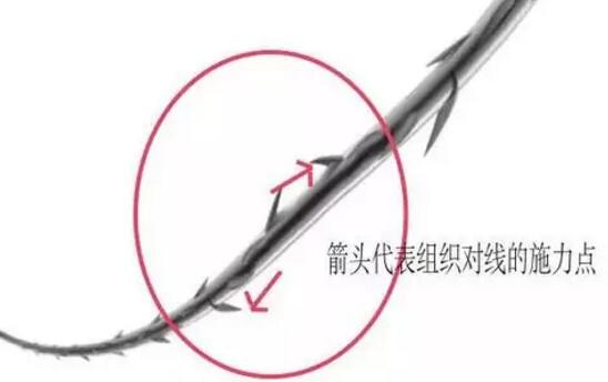 ������������������һ�������