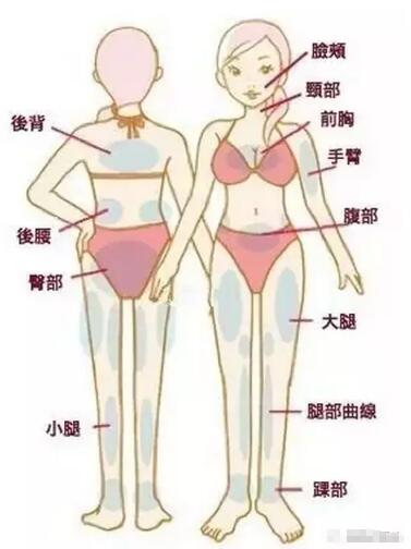 ������ʧ�ܣ�Ϊ�β����Գ�֬