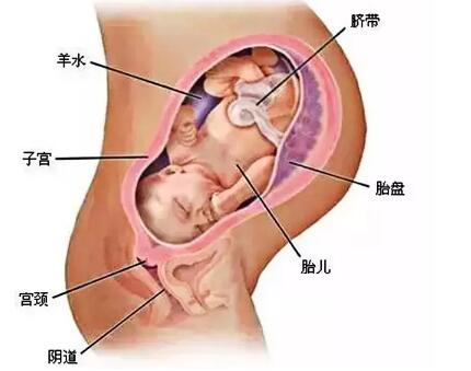 ̥�̶��ģ�һ�˥����