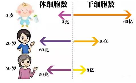 ̥�̶��ģ�һ�˥����