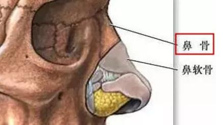 �����������ͣ�Ϊʲô�����ַǳ���