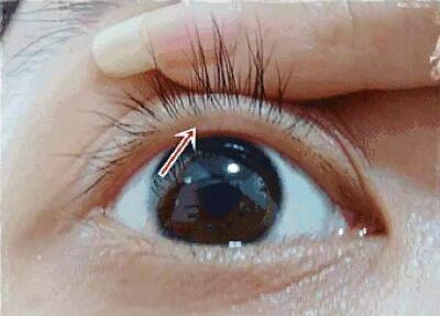 ��ͫ�ߣ���������Ů�˸���Ů��ζ��