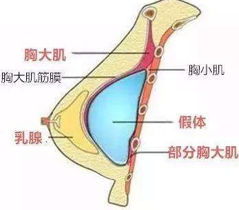 ����֬��¡�غͼ���¡�ؿ���һ������