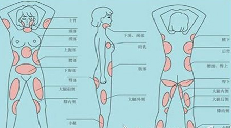 ȫ����֬+����������������� Ч�����׺ò���