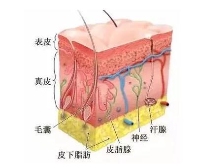 �������壺����̫���ƽ�΢�롢���꼪��������Ƶ���������к�����