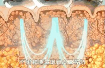 �������壺����̫���ƽ�΢�롢���꼪��������Ƶ���������к�����
