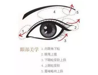 ʲô�����ۺ�����?Ϊʲô���ۺ���ô�ܻ�ӭ