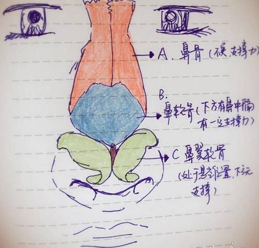 ����Ů���������к�����