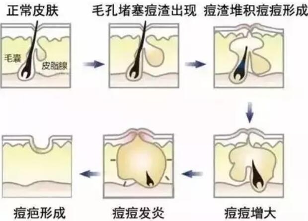 ��̺�Ӧ����ô���
