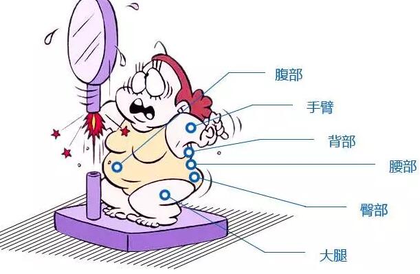 ��֬�����ж�ʹ����μ�����֬������������ʹ