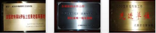 ��Ʒ�����Ρ��人�к��������������³���