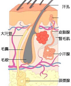 Ҹζ