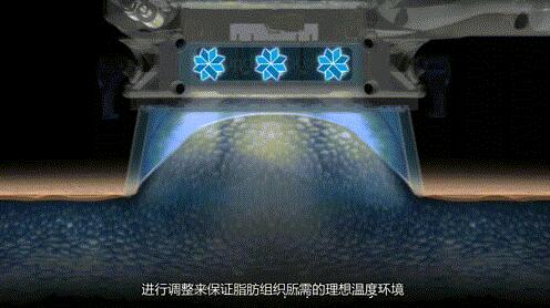 ���䶳��֬���ա��ѼҰ�����ʮ�����Ϊ�޴�����������