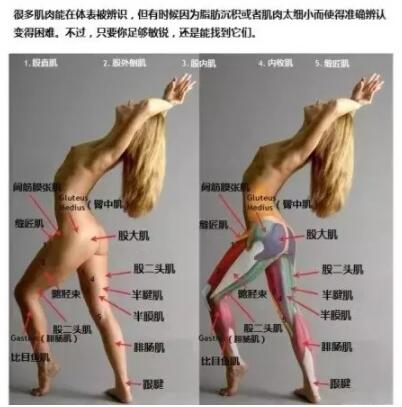 15ͼ붮֬뼡⣡֬ؿ