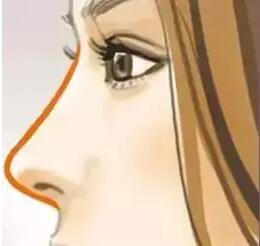 ����������������ɽ�����ƽ������ֽƬ����ӵ��������������ɱ