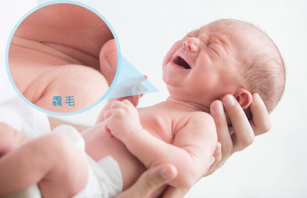 �����ξ�Ʒ����Ϊһ��ë����ʢ��Ů�����㻹�ҳ�����