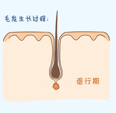 �춼��ô���ˣ�����ô����������ë