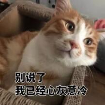 ��ҽ�����ա��������˫��Ƥ������������